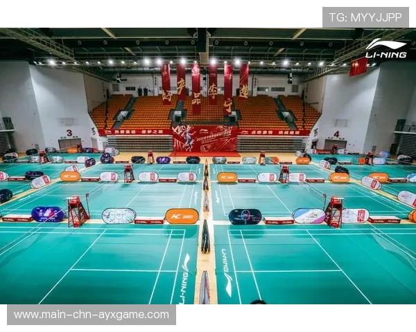 羽毛球赛场的科技介入：回放更准确还是破坏观感？